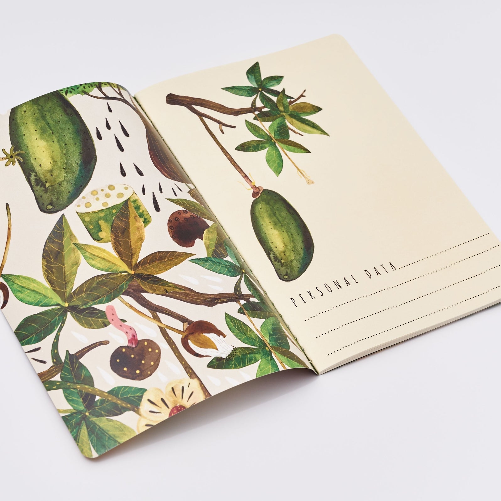 Baobab Tree Notebook