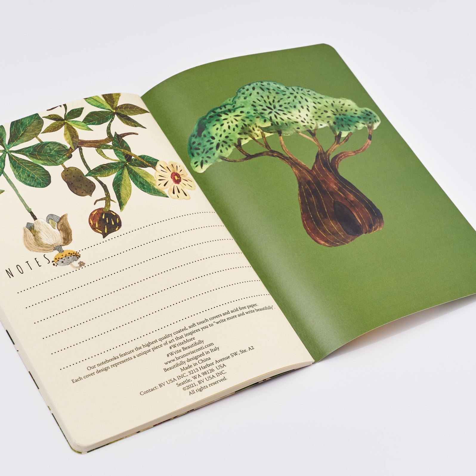 Baobab Tree Notebook